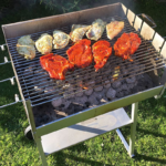 The Best Grill You Can Have for Your Food & Its Advantages