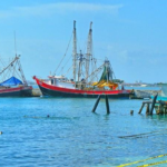 How To Get Around In Puerto Juarez: A Transportation Guide