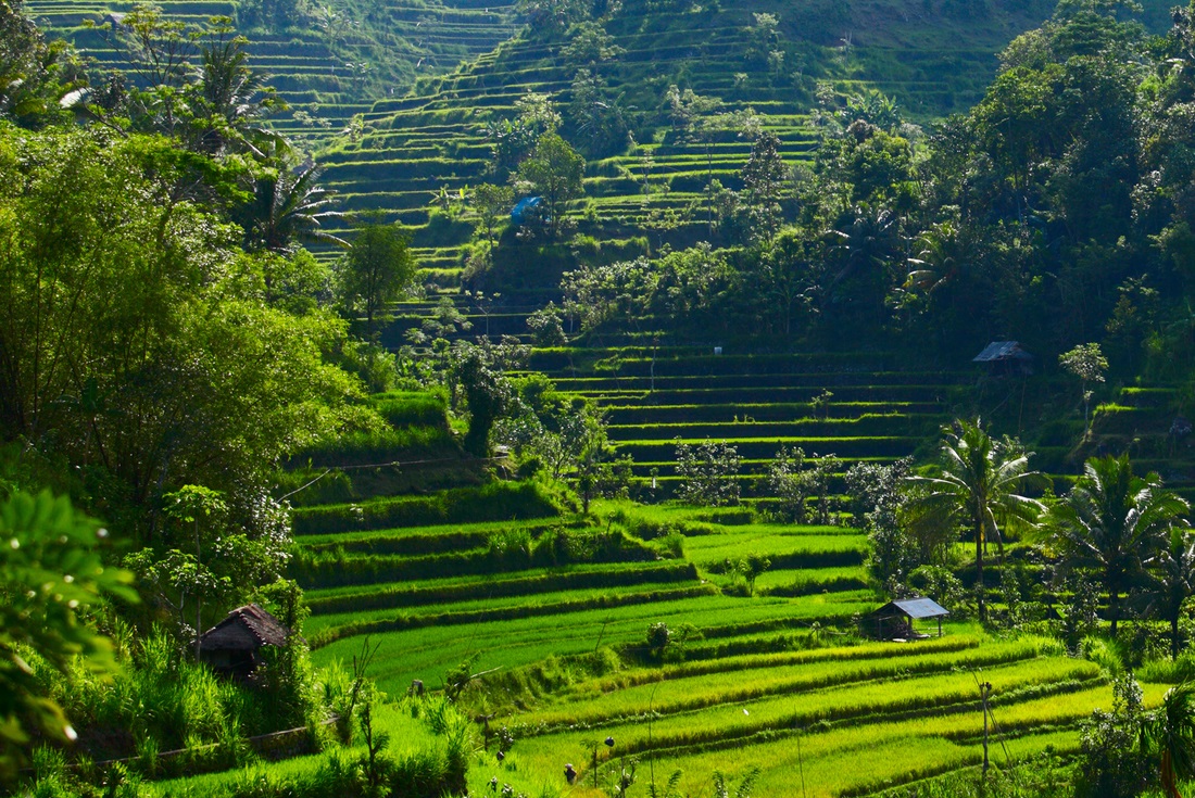 Exploring Indonesia's Captivating Destinations