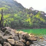 Discover Dumaguete: Top 5 best tours to experience 